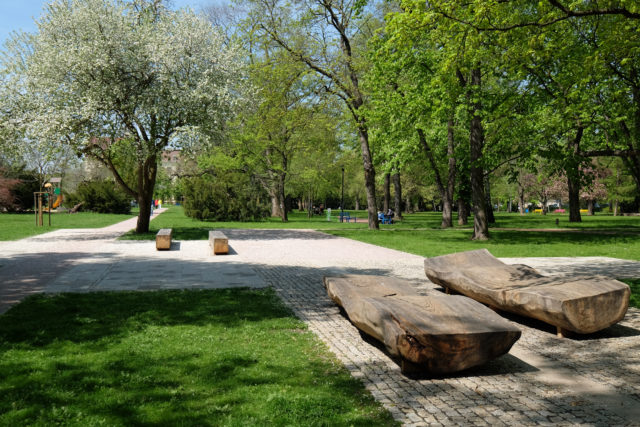 dscf1336rzxs1k4x1460643388