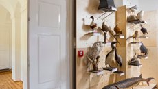 Zoologická expozice na hradě Malenovice