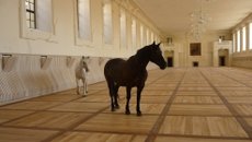 NÁRODNÍ CENTRUM DIVADLA A TANCE  - JÍZDÁRNA A DOMEK ZAHRADNÍKA, VALTICE