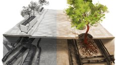 Pražské stavební předpisy