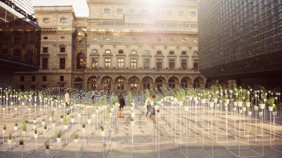 Victoria Pragensis - Botanický Labyrint