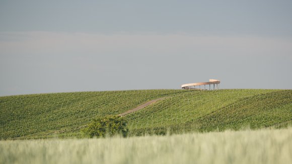 Stezka nad vinohrady