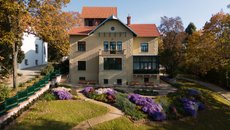 Záchrana a rehabilitace Arnoldovy vily