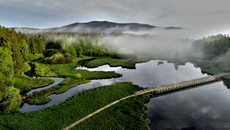 Naučná stezka okolo rybníku Olšina