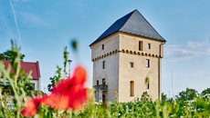 Rekonstrukce středověké tvrze v Královicích