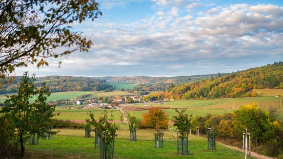 Vohančice – Komplex protierozních opatření a krajinářských úprav
