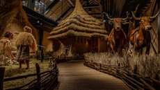 Archevita | Stopami věků -  konverze zámecké stodoly pro archeologickou expozici 