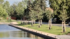 Revitalizace Salvátorského rybníku